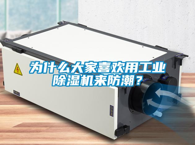 為什么大家喜歡用工業除濕機來防潮？