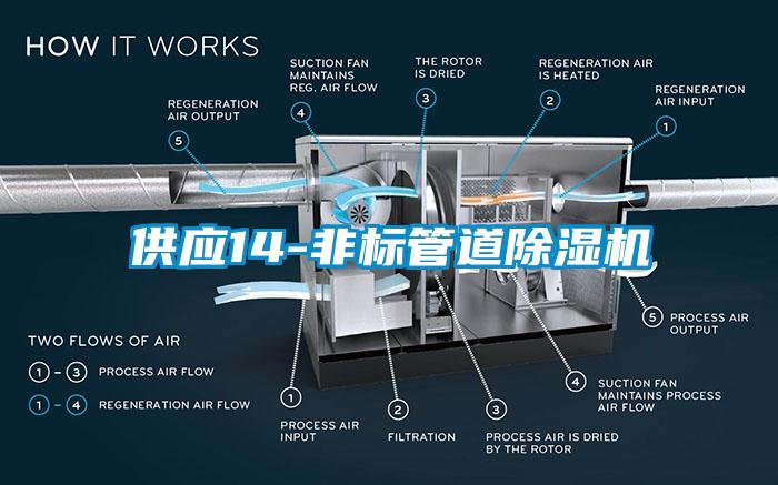 供應14-非標管道除濕機