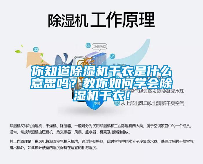 你知道除濕機干衣是什么意思嗎？教你如何學會除濕機干衣！