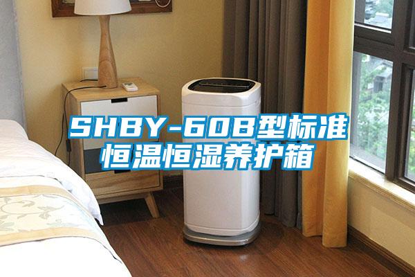 SHBY-60B型標準恒溫恒濕養護箱