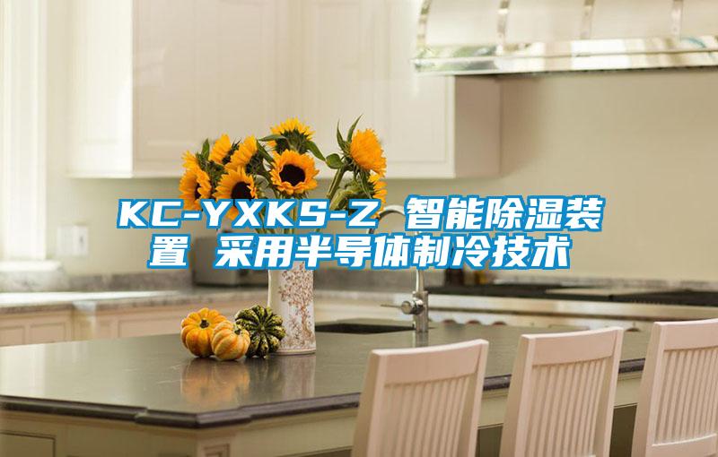 KC-YXKS-Z 智能除濕裝置 采用半導體制冷技術