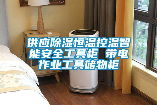 供應除濕恒溫控溫智能安全工具柜 帶電作業工具儲物柜