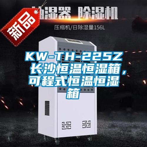 KW-TH-225Z 長沙恒溫恒濕箱，可程式恒溫恒濕箱