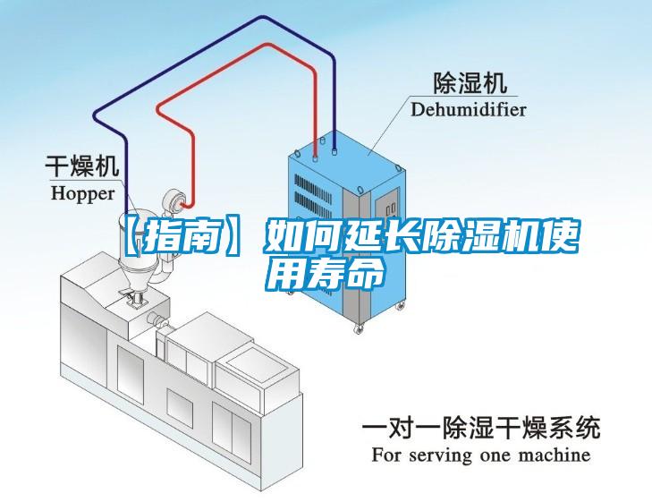 【指南】如何延長除濕機使用壽命