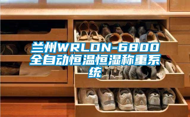 蘭州WRLDN-6800全自動恒溫恒濕稱重系統(tǒng)