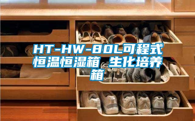 HT-HW-80L可程式恒溫恒濕箱 生化培養箱