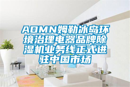 AOMN姆勒冰島環境治理電器品牌除濕機業務線正式進駐中國市場