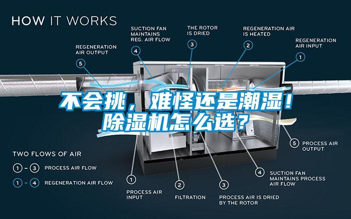 不會挑，難怪還是潮濕！除濕機怎么選？