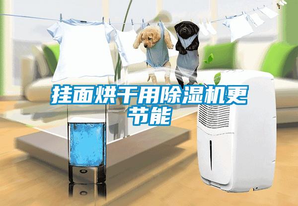 掛面烘干用除濕機更節能