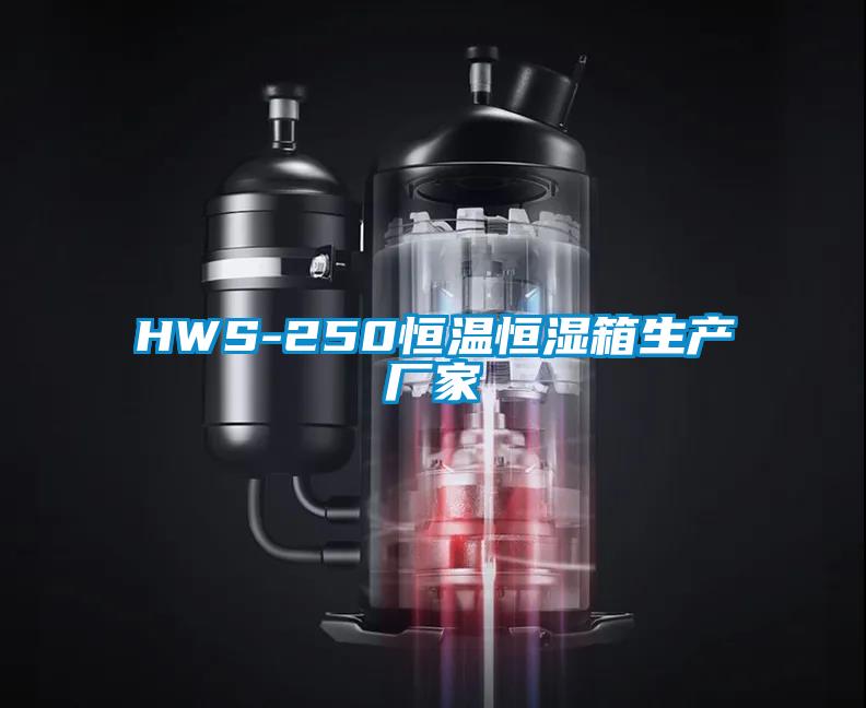 HWS-250恒溫恒濕箱生產廠家