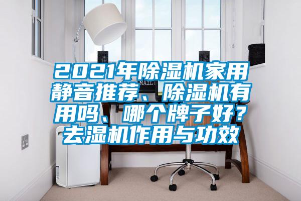 2021年除濕機家用靜音推薦、除濕機有用嗎、哪個牌子好？去濕機作用與功效