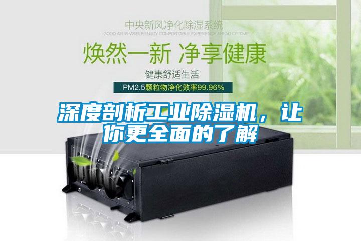 深度剖析工業(yè)除濕機(jī)，讓你更全面的了解