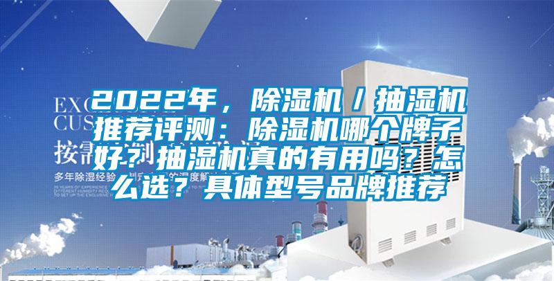 2022年，除濕機／抽濕機推薦評測：除濕機哪個牌子好？抽濕機真的有用嗎？怎么選？具體型號品牌推薦