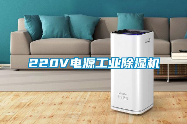 220V電源工業(yè)除濕機