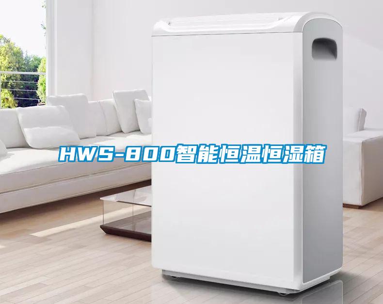 HWS-800智能恒溫恒濕箱