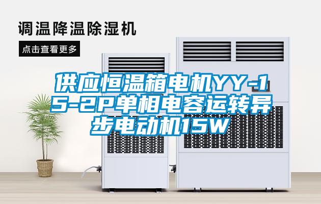 供應恒溫箱電機YY-15-2P單相電容運轉異步電動機15W