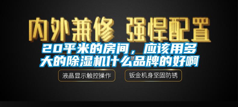 20平米的房間，應(yīng)該用多大的除濕機(jī)什么品牌的好啊