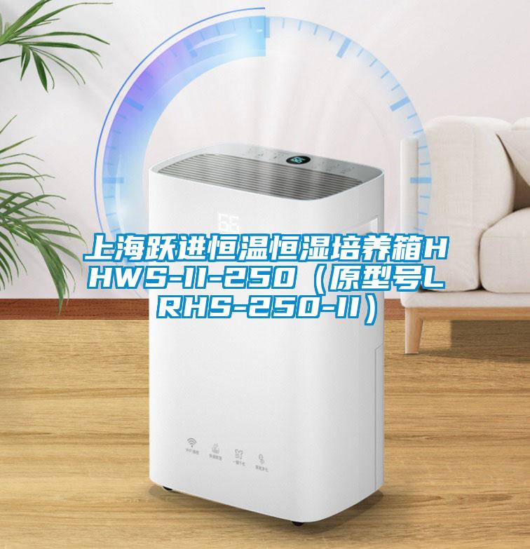 上海躍進恒溫恒濕培養箱HHWS-II-250（原型號LRHS-250-II）