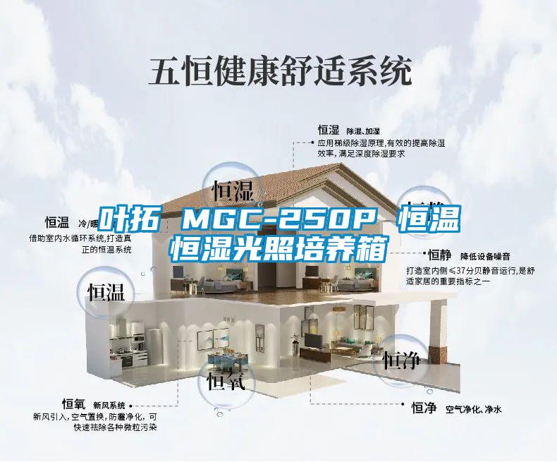 葉拓 MGC-250P 恒溫恒濕光照培養箱