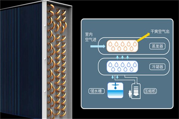 吊頂除濕機跟吊裝新風除濕機的區別