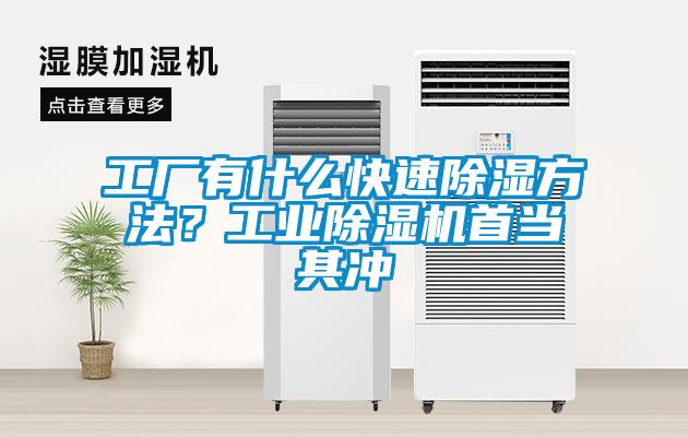 工廠有什么快速除濕方法？工業除濕機首當其沖