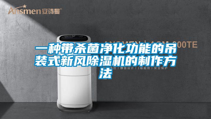 一種帶殺菌凈化功能的吊裝式新風除濕機的制作方法