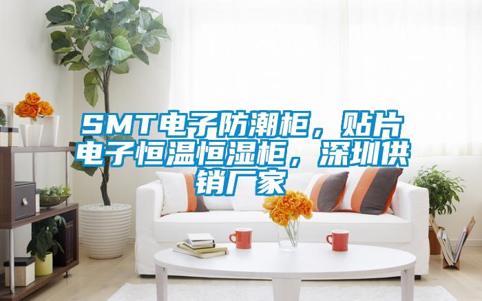 SMT電子防潮柜，貼片電子恒溫恒濕柜，深圳供銷廠家