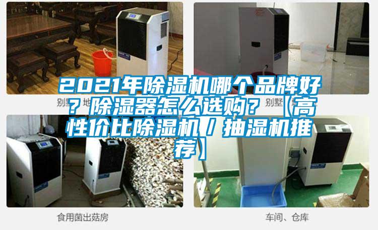 2021年除濕機哪個品牌好？除濕器怎么選購？【高性價比除濕機／抽濕機推薦】