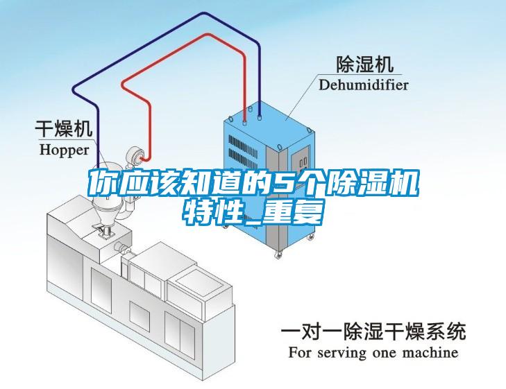 你應該知道的5個除濕機特性_重復