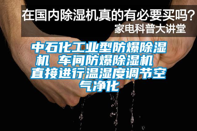 中石化工業型防爆除濕機 車間防爆除濕機 直接進行溫濕度調節空氣凈化