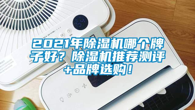 2021年除濕機哪個牌子好？除濕機推薦測評+品牌選購！