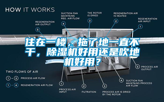 住在一樓，拖了地一直不干，除濕機(jī)好用還是吹地機(jī)好用？