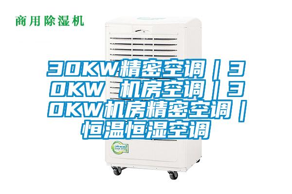 30KW精密空調｜30KW 機房空調｜30KW機房精密空調｜恒溫恒濕空調