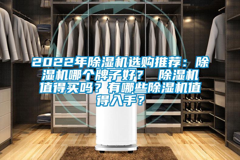 2022年除濕機(jī)選購(gòu)?fù)扑]：除濕機(jī)哪個(gè)牌子好？ 除濕機(jī)值得買嗎？有哪些除濕機(jī)值得入手？