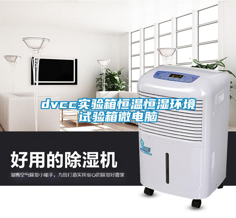 dvcc實驗箱恒溫恒濕環境試驗箱微電腦