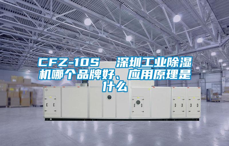 CFZ-10S  深圳工業除濕機哪個品牌好、應用原理是什么