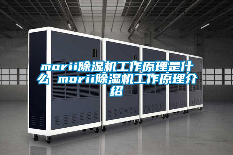 morii除濕機工作原理是什么 morii除濕機工作原理介紹