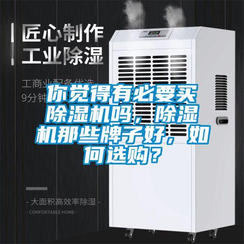 你覺得有必要買除濕機嗎，除濕機那些牌子好，如何選購？