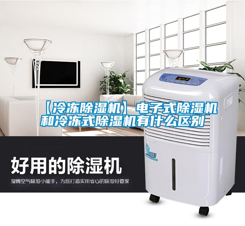 【冷凍除濕機】電子式除濕機和冷凍式除濕機有什么區別