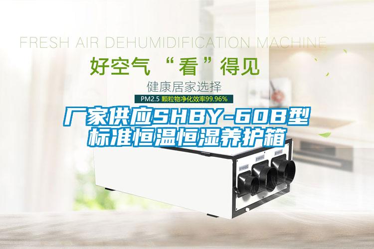 廠家供應SHBY-60B型標準恒溫恒濕養護箱