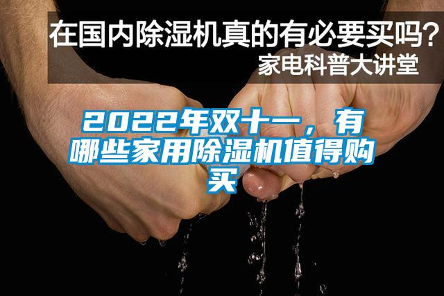 2022年雙十一，有哪些家用除濕機值得購買