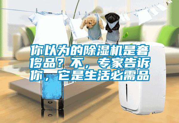 你以為的除濕機是奢侈品？不，專家告訴你，它是生活必需品