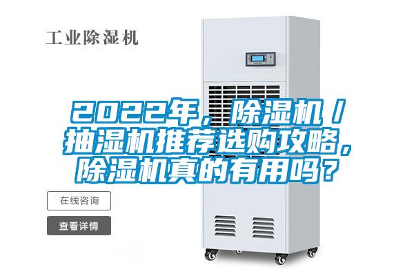 2022年，除濕機／抽濕機推薦選購攻略，除濕機真的有用嗎？