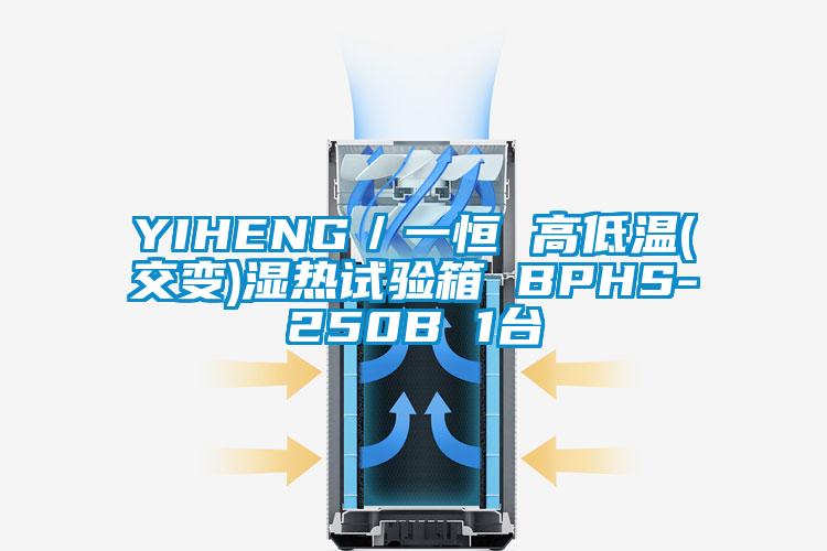 YIHENG／一恒 高低溫(交變)濕熱試驗箱 BPHS-250B 1臺