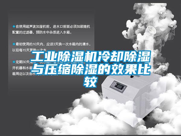 工業除濕機冷卻除濕與壓縮除濕的效果比較