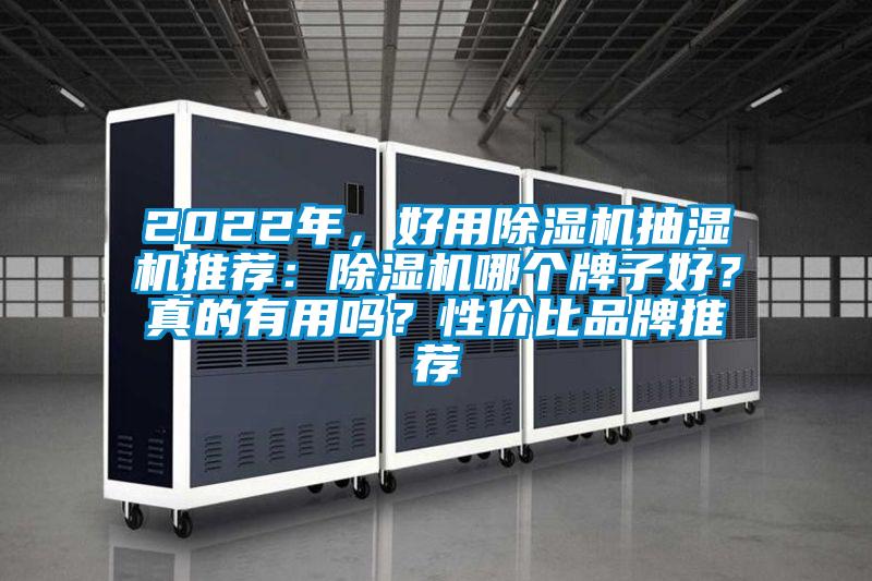 2022年，好用除濕機抽濕機推薦：除濕機哪個牌子好？真的有用嗎？性價比品牌推薦