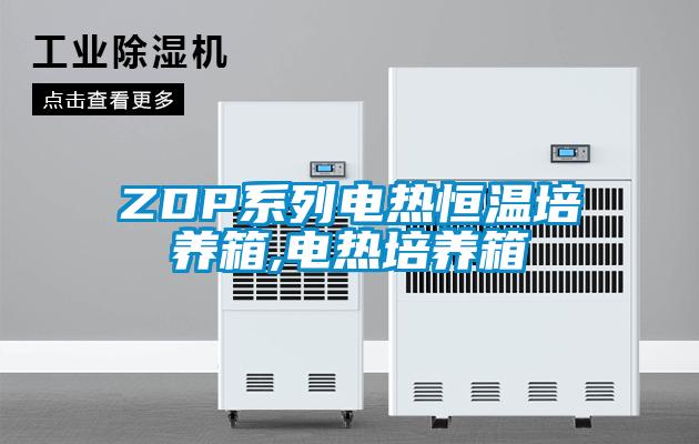 ZDP系列電熱恒溫培養箱,電熱培養箱