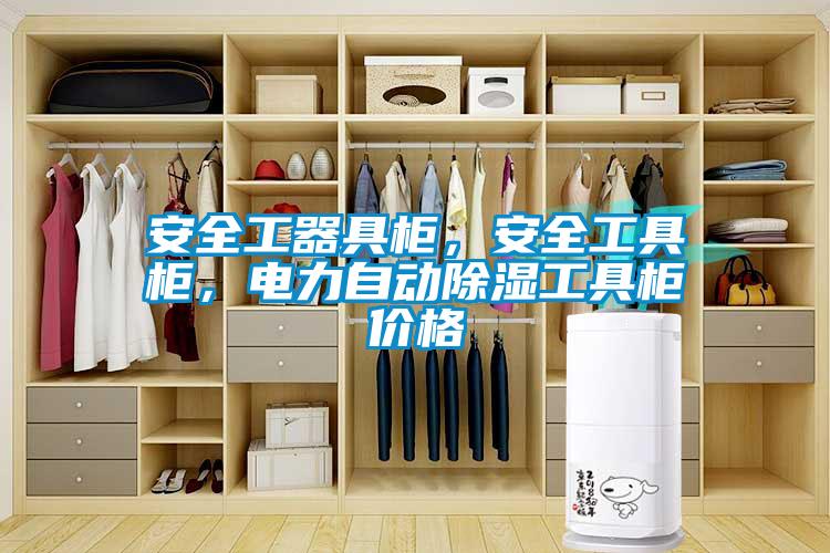 安全工器具柜，安全工具柜，電力自動除濕工具柜價格