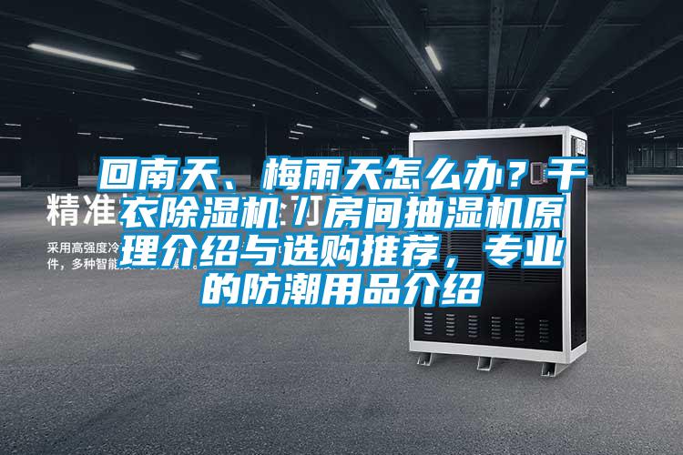 回南天、梅雨天怎么辦？干衣除濕機／房間抽濕機原理介紹與選購推薦，專業的防潮用品介紹