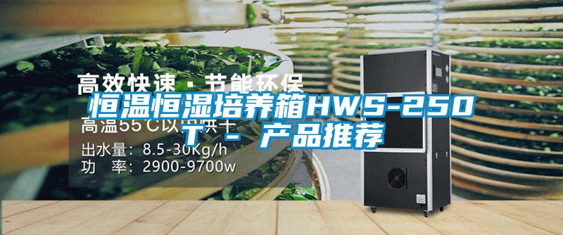 恒溫恒濕培養箱HWS-250T - 產品推薦